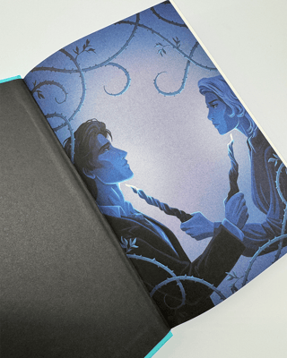 A Fate So Cold Illustrated endpaper