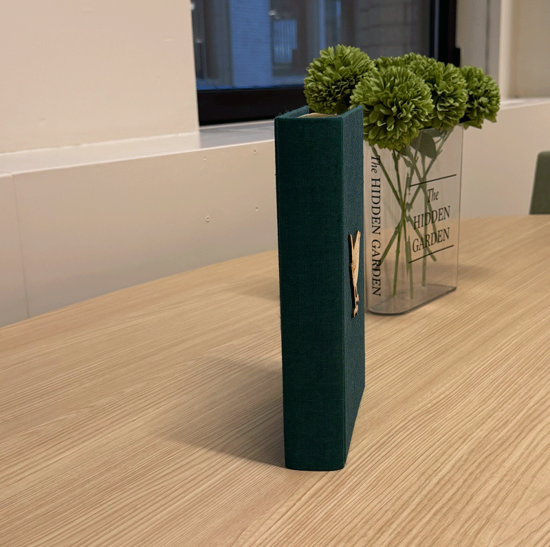 AddieLarue_FirstLook_StopMotion