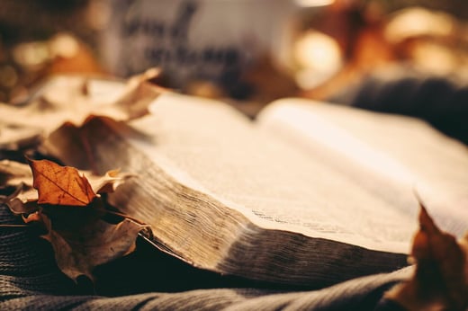 A book lying open upon a bed of leaves