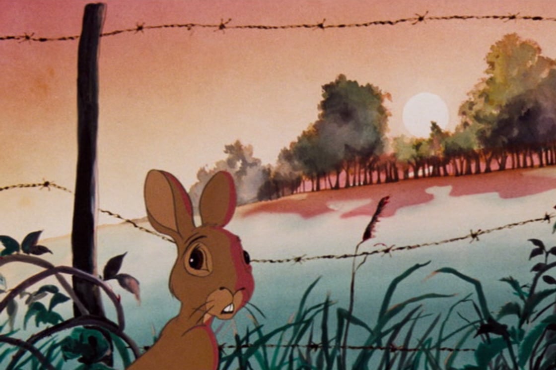 Image from Watership Down (1978); the rabbit Fiver stands in front of a barbed wire fence, looking back
