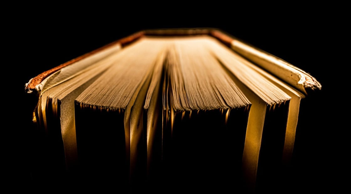 A photograph of an open book under yellow lighting