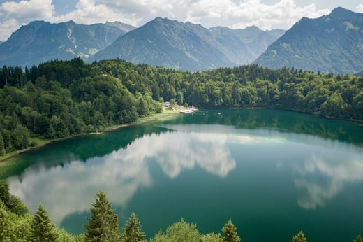 A beautiful mountain lake, surrounded by trees