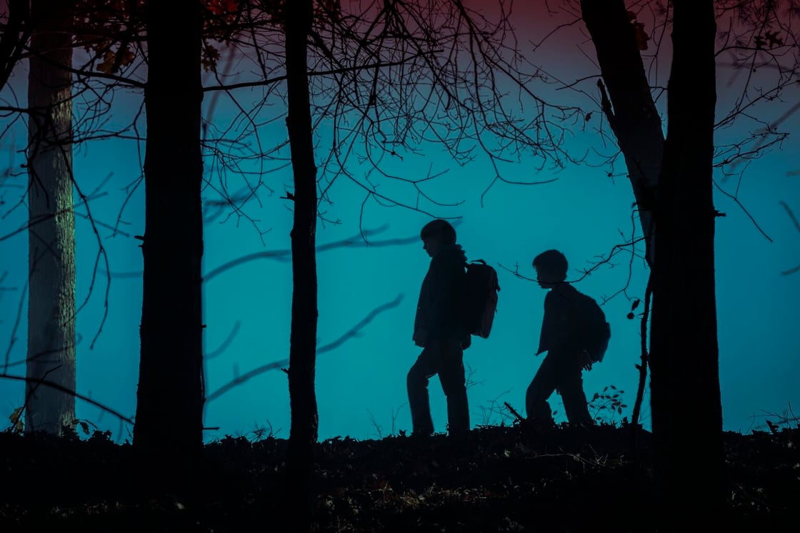 Two boys walking through a dark wood in Salem's Lot (2024)