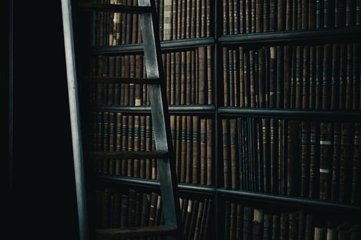 A shadowy photograph of library shelves with a library ladder