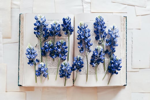 A picture of an open book with blue flowers resting on the pages