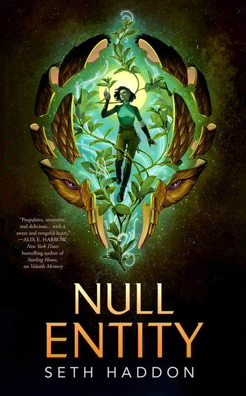NullEntity_Final_fixed